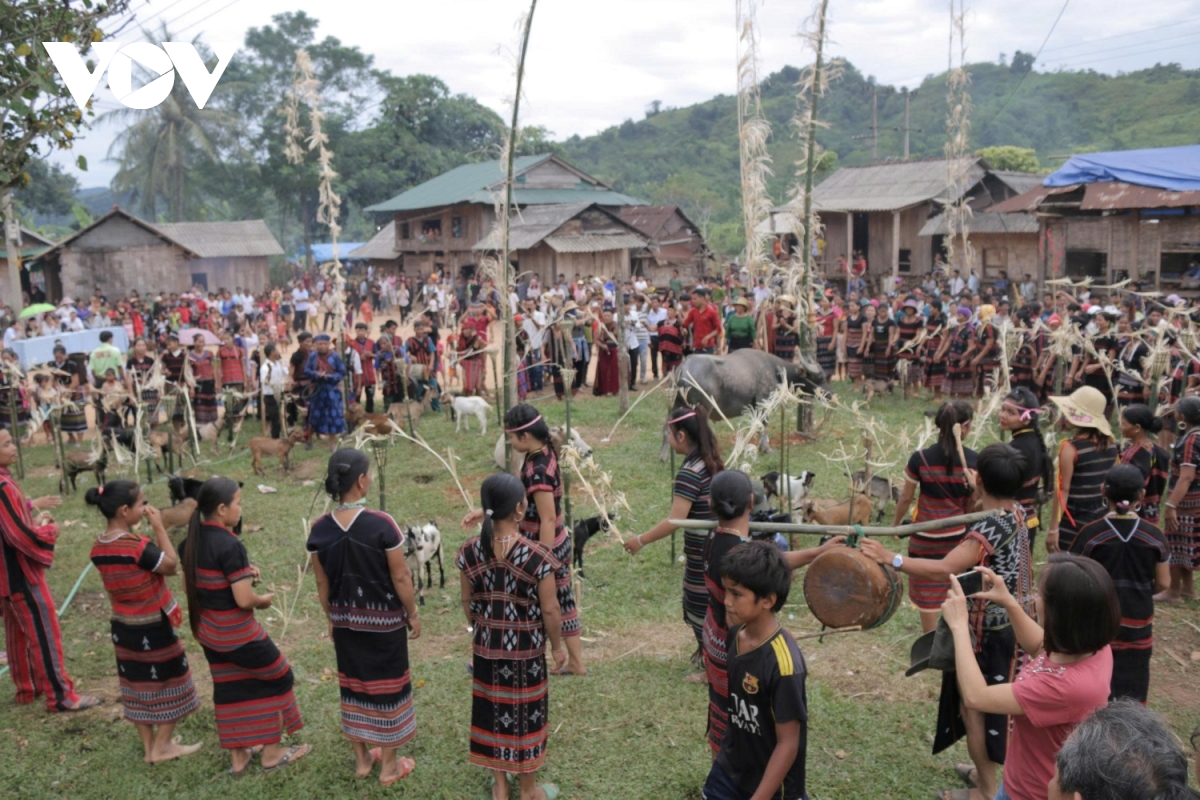 Giữ nét văn hóa người Pa Cô gắn với bài trừ hủ tục