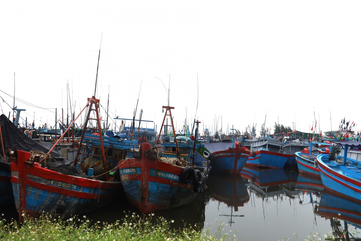 quang ngai siet chat an toan tau thuyen, khong de ngu dan o lai duoi tau hinh anh 2