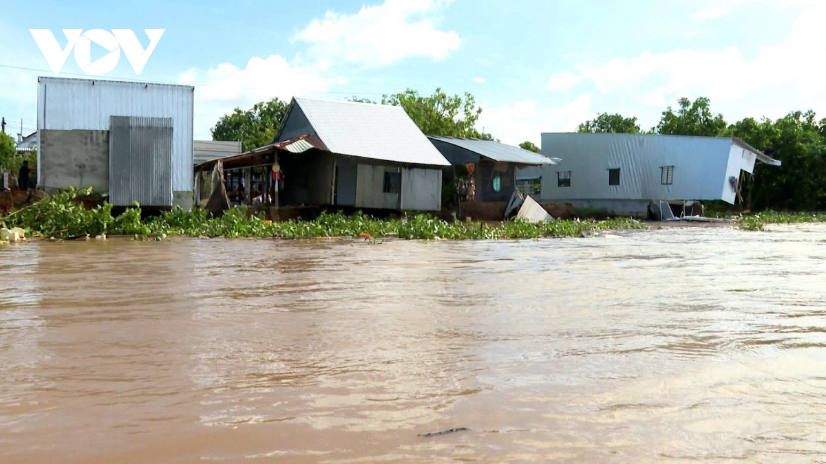 Đồng Tháp công bố tình huống khẩn cấp sạt lở bờ sông Tiền thuộc phường Cao Lãnh