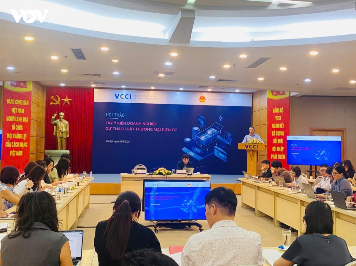 hoan thien khung phap ly thuong mai dien tu tranh bao ho nguoc, tao dong luc cho kinh te hinh anh 3
