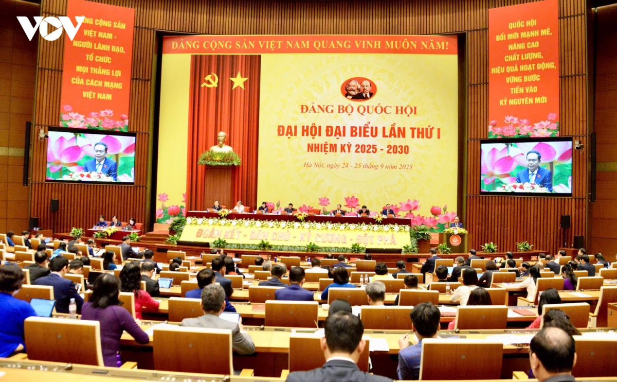Dai hoi Dang bo quoc hoi Dinh hinh hoat dong mang tinh chien luoc, dan dat hinh anh 2