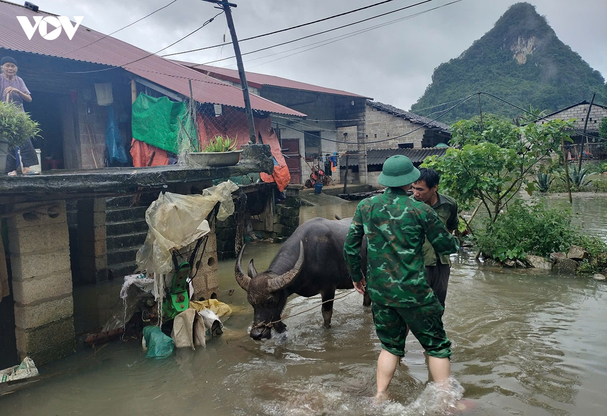 mua lu sau bao so 10 khien 7 nguoi thuong vong, mat tich o cao bang hinh anh 7