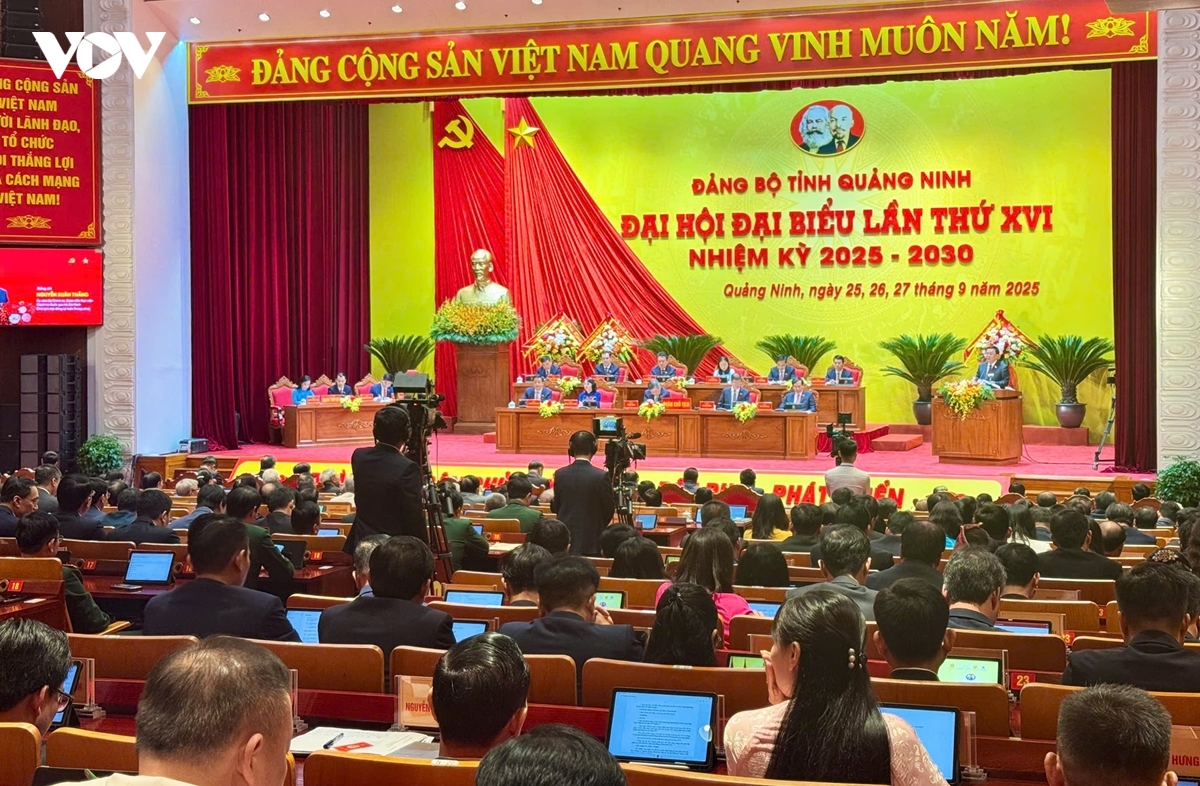 Ong vu Dai thang tai dac cu bi thu tinh uy quang ninh hinh anh 4