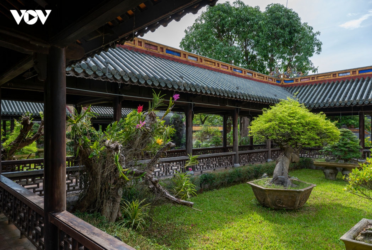 vuon thieu phuong ngu uyen xanh trong long Dai noi hue hinh anh 10