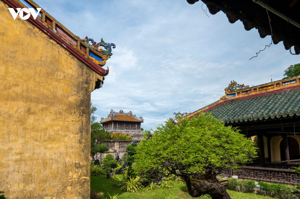 vuon thieu phuong ngu uyen xanh trong long Dai noi hue hinh anh 12