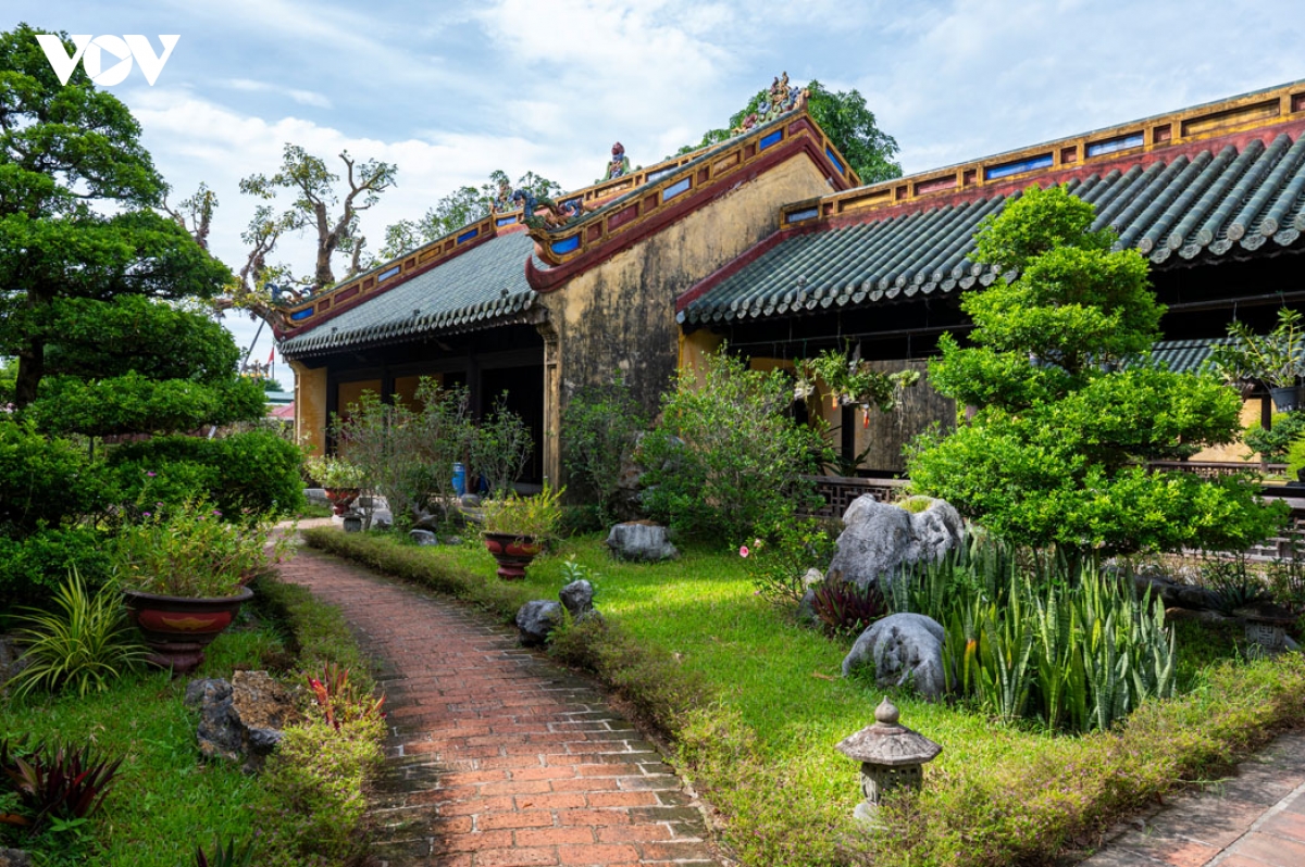 vuon thieu phuong ngu uyen xanh trong long Dai noi hue hinh anh 3