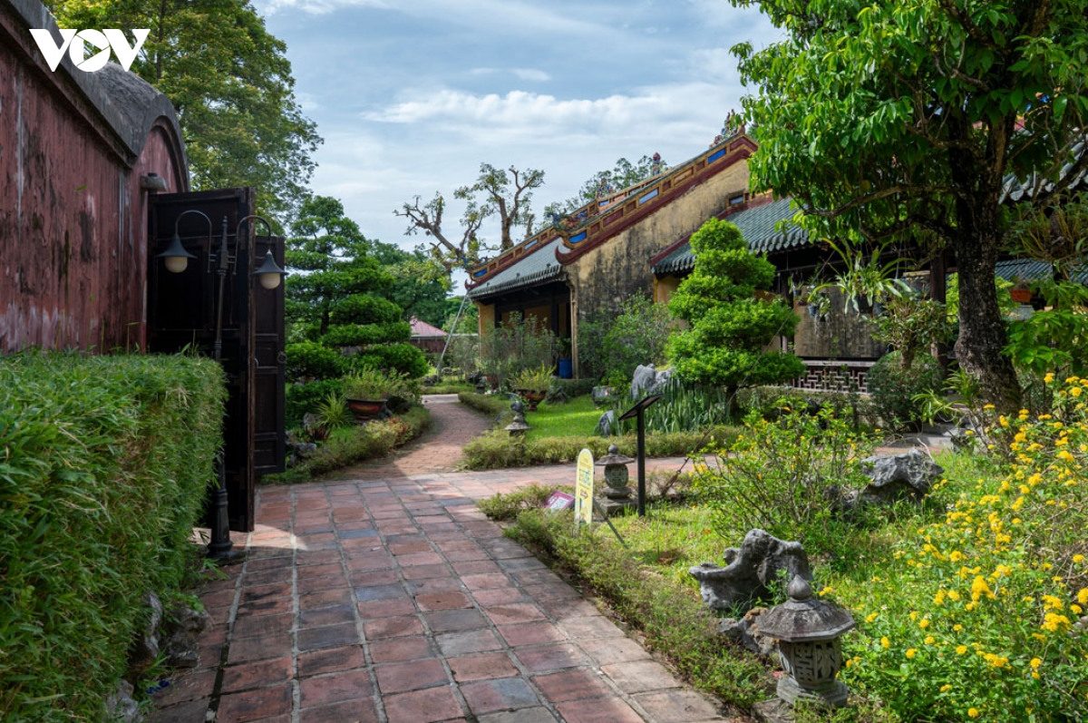 vuon thieu phuong ngu uyen xanh trong long Dai noi hue hinh anh 5
