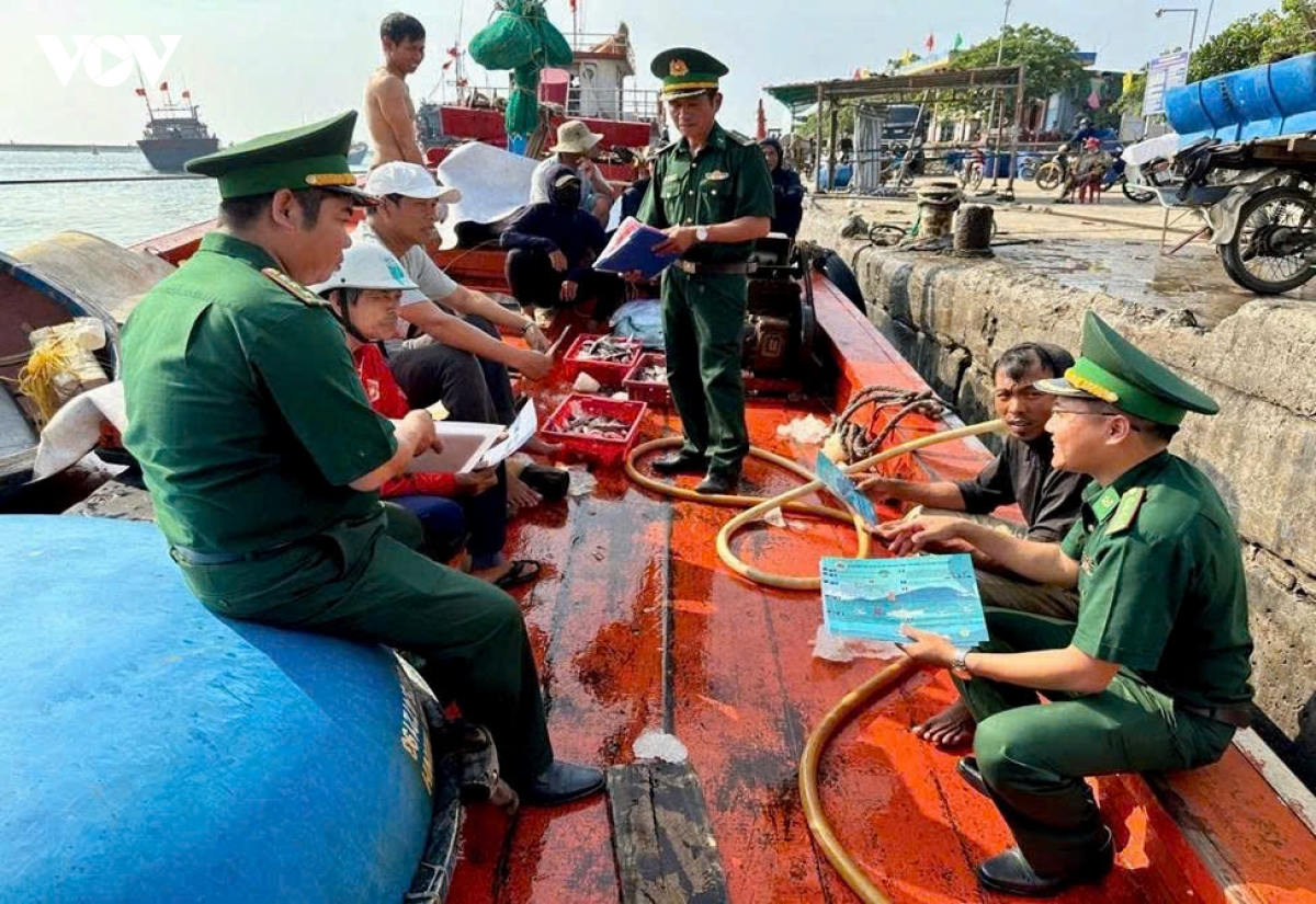 ngu dan ly son vung nghe bien hinh anh 1