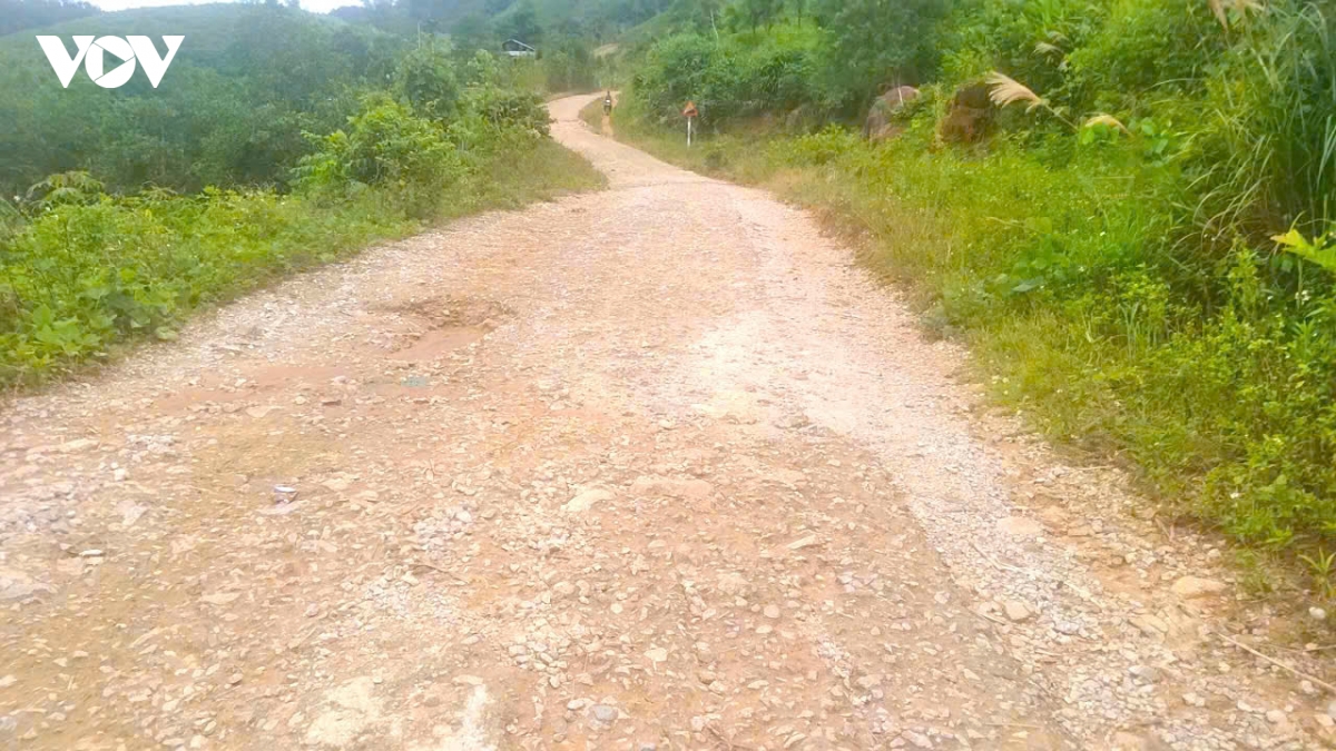quang ngai de nghi thuy dien Dak Drinh som hoan thanh duong tranh ngap hinh anh 2