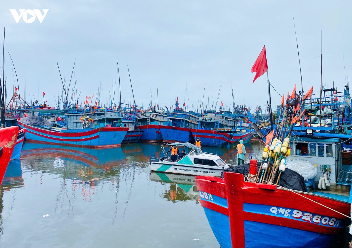 quang ngai siet chat an toan tau thuyen, khong de ngu dan o lai duoi tau hinh anh 7
