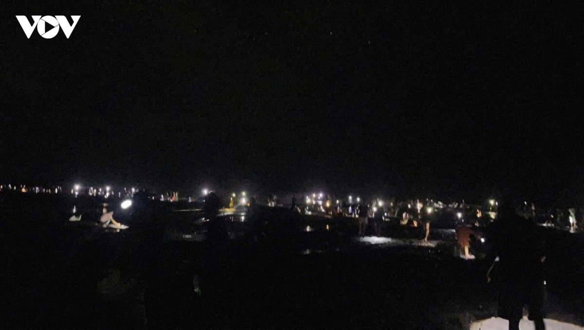 ngao tran trang bai sau bao so 10, dan ninh binh thu ve ca tan chi trong mot dem hinh anh 1