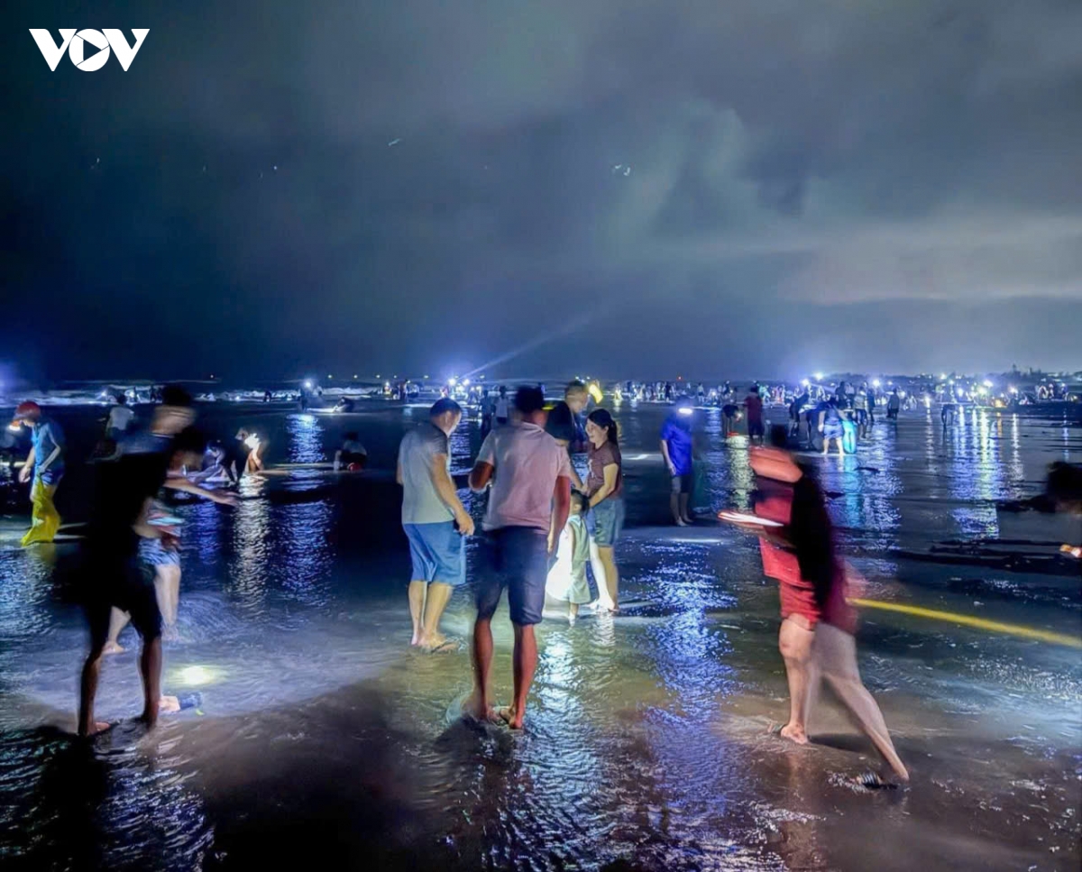 ngao tran trang bai sau bao so 10, dan ninh binh thu ve ca tan chi trong mot dem hinh anh 2