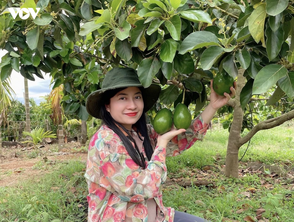 khoi nghiep tu tai nguyen ban dia - loi the cua mien trung - tay nguyen hinh anh 1