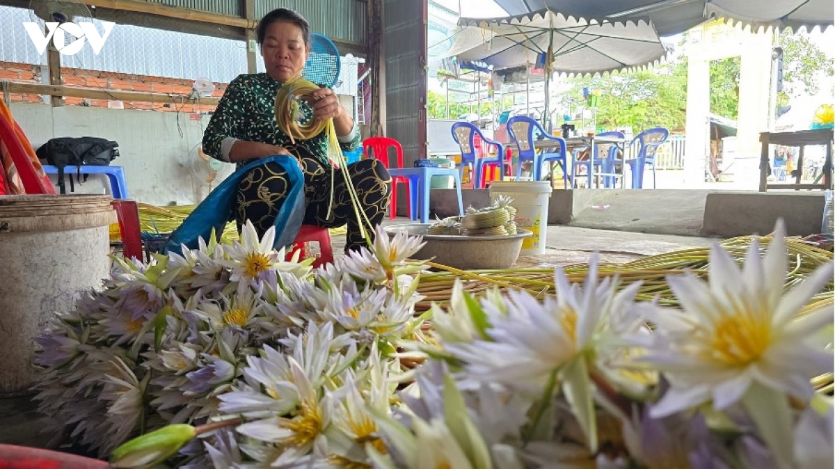 mua nuoc noi vinh te - buc tranh song dong cua mien song nuoc hinh anh 2