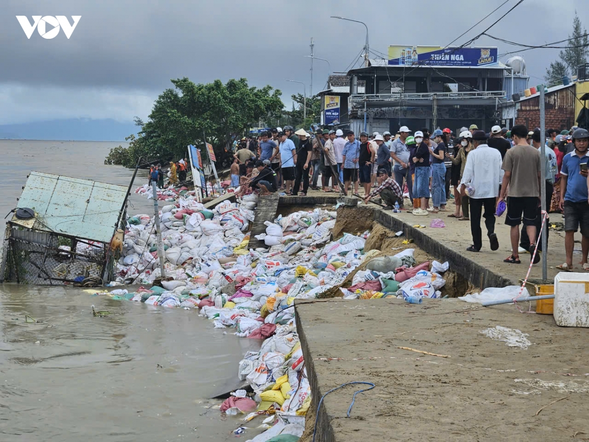 Da nang sat lo du doi phia nam cau cua Dai hinh anh 3
