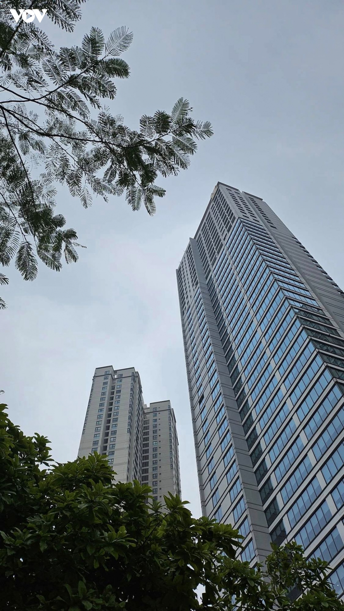 cau hoi chua duoc tra loi ro rang ai thoi bong bong bat dong san hinh anh 3