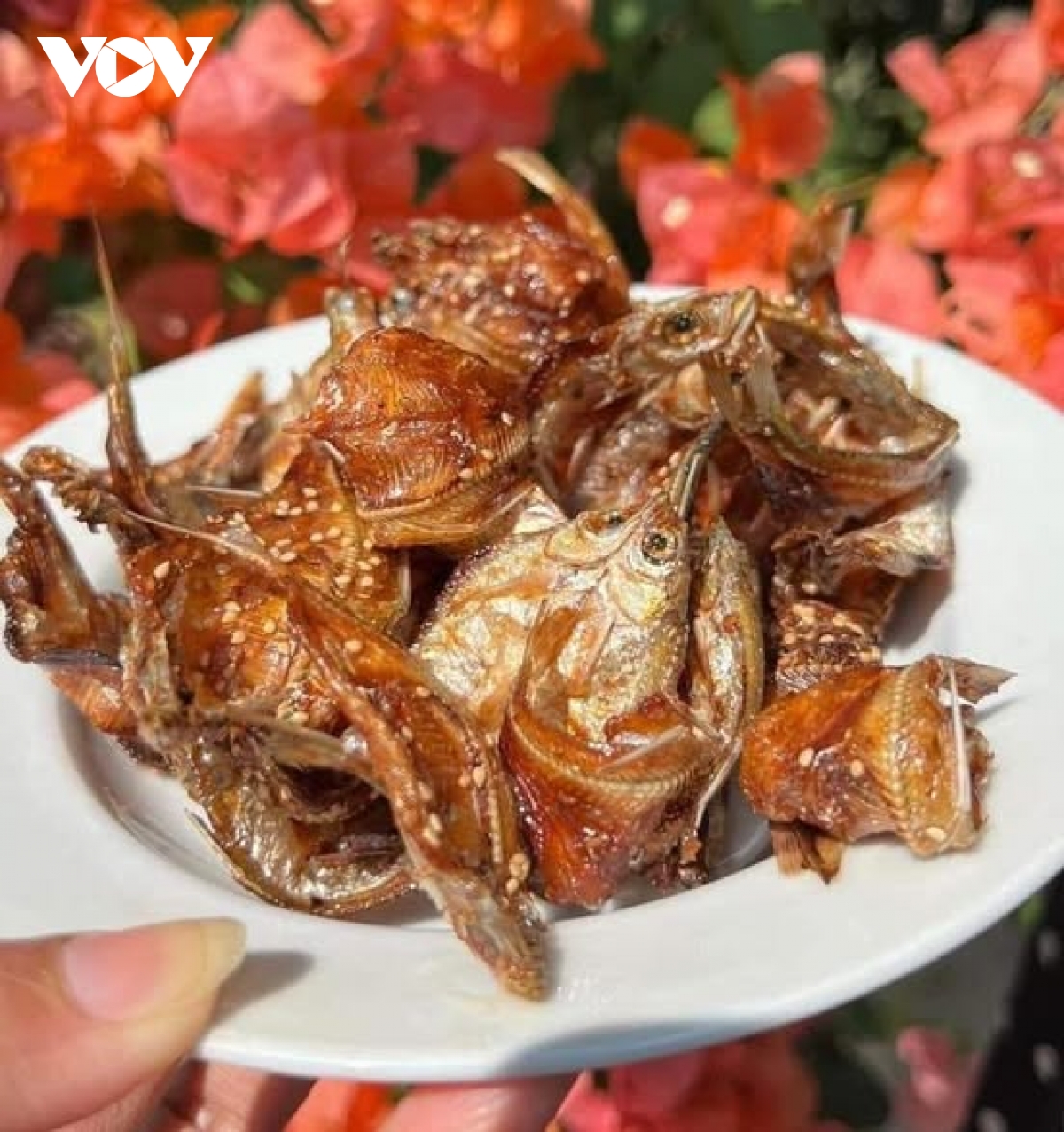 "Hô biến" cá quê rẻ tiền thành đặc sản nhiều người ưa thích