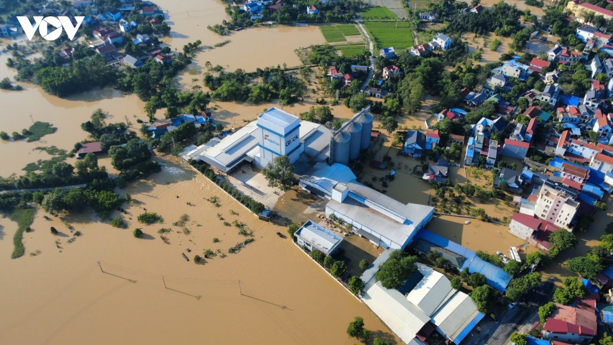 bo doi dam minh go cua tung nha mang nhu yeu pham toi ba con vung lu trung gia hinh anh 1