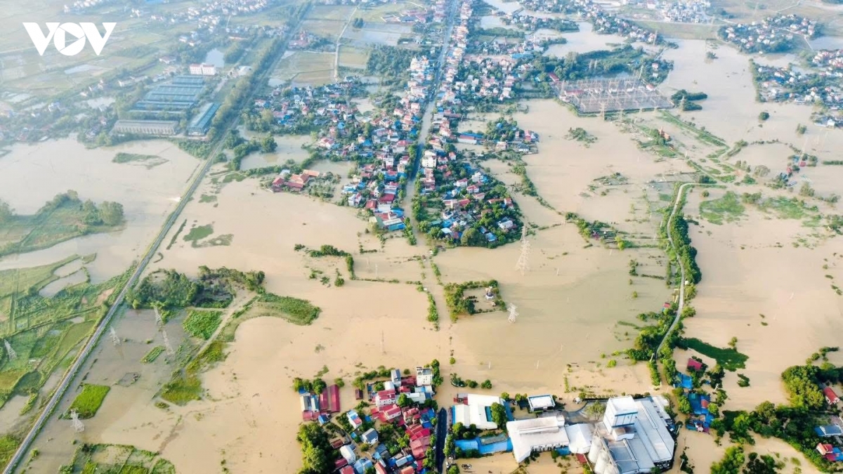 bo doi dam minh go cua tung nha mang nhu yeu pham toi ba con vung lu trung gia hinh anh 2