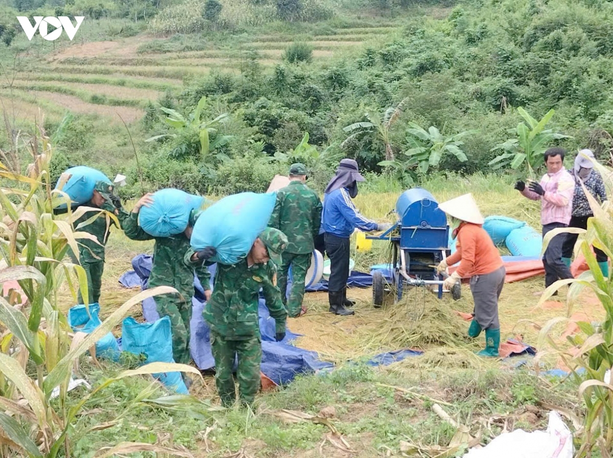 mua vang am tinh quan dan vung bien gioi son la hinh anh 8