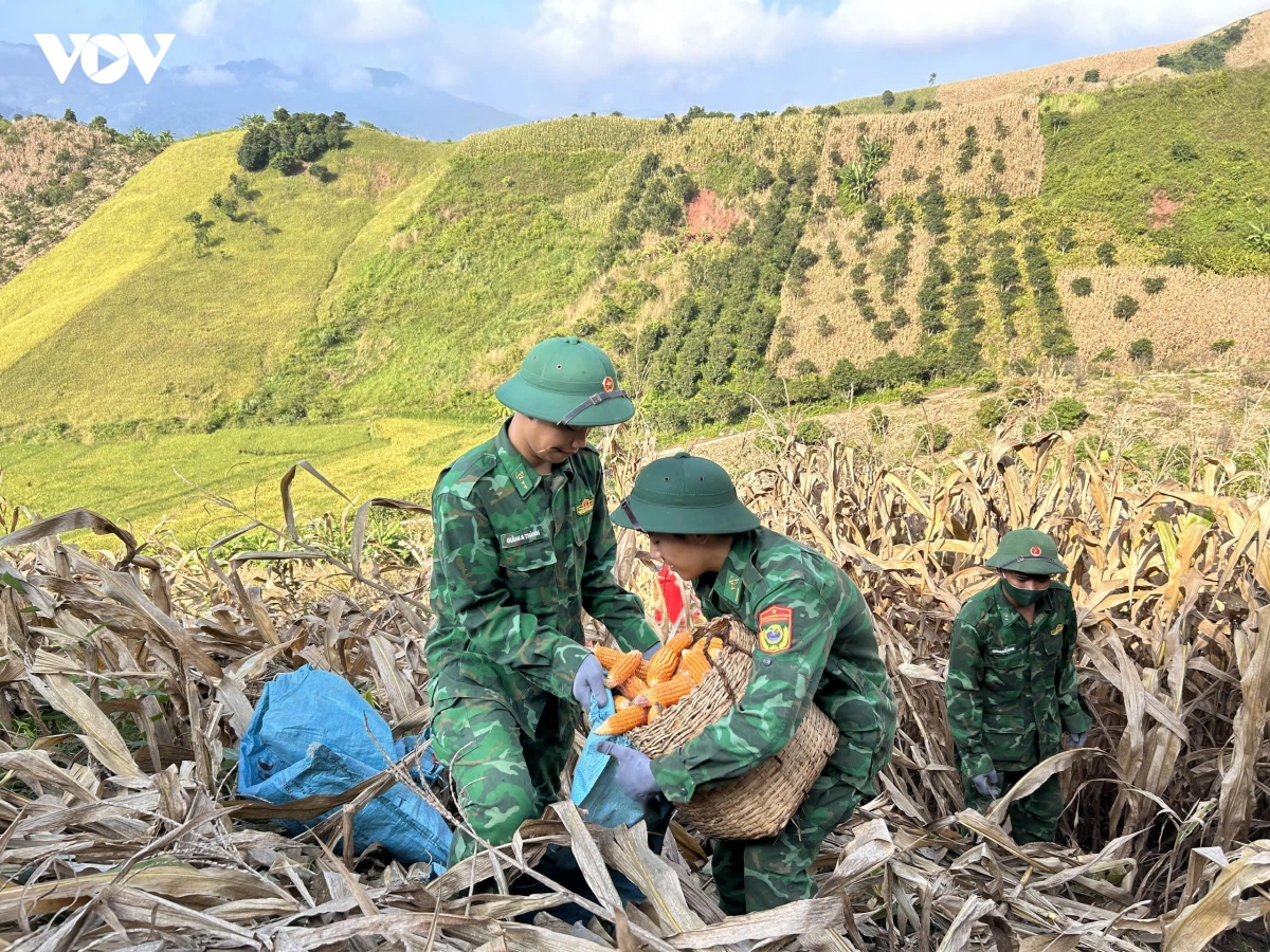 mua vang am tinh quan dan vung bien gioi son la hinh anh 6