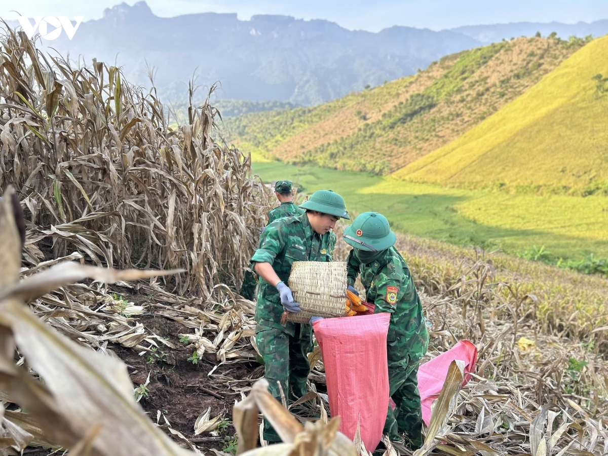 mua vang am tinh quan dan vung bien gioi son la hinh anh 7