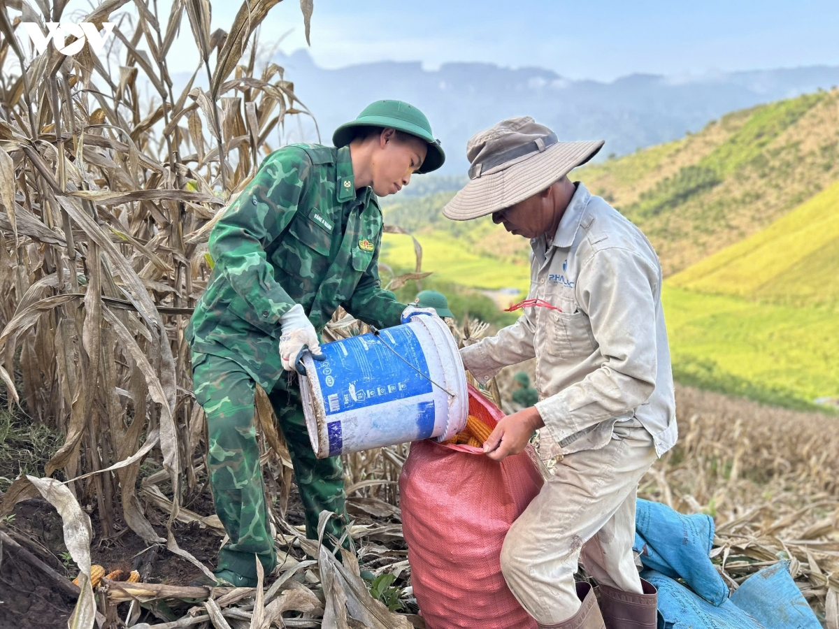 mua vang am tinh quan dan vung bien gioi son la hinh anh 11