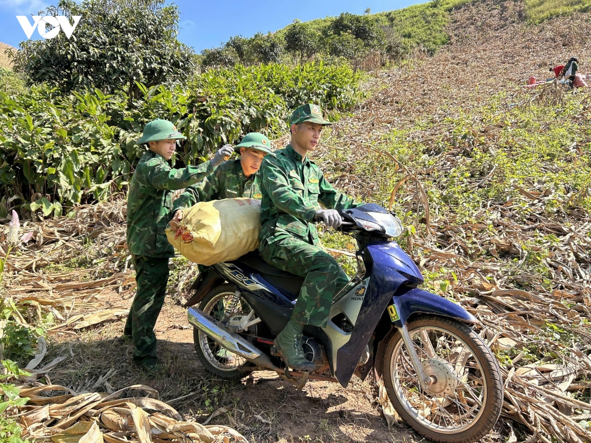 mua vang am tinh quan dan vung bien gioi son la hinh anh 9