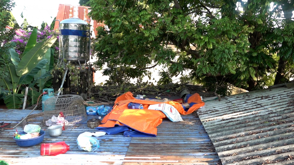 Người đàn ông sống 4 ngày trên mái chuồng lợn chờ nước rút ở Phú Bình, Thái Nguyên