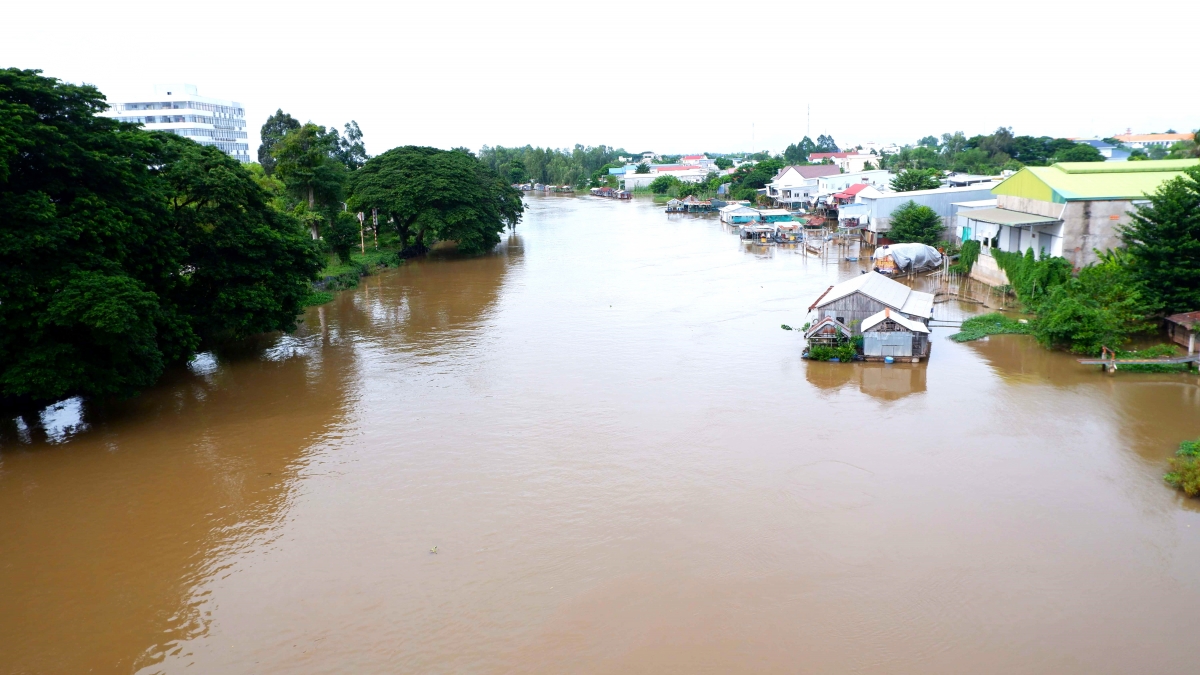 bien phong an giang quyet liet dau tranh, ngan chan toi pham buon lau hinh anh 6