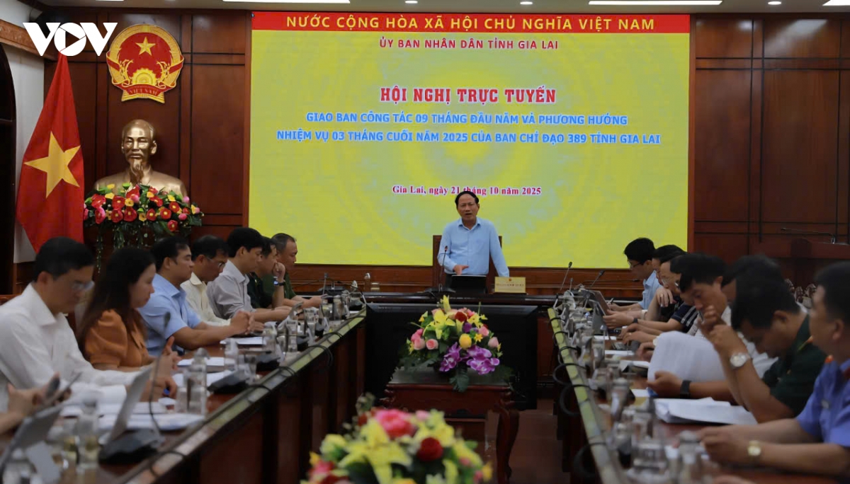 gia lai tang cuong kiem soat thi truong, ngan chan hang gia, hang lau hinh anh 1