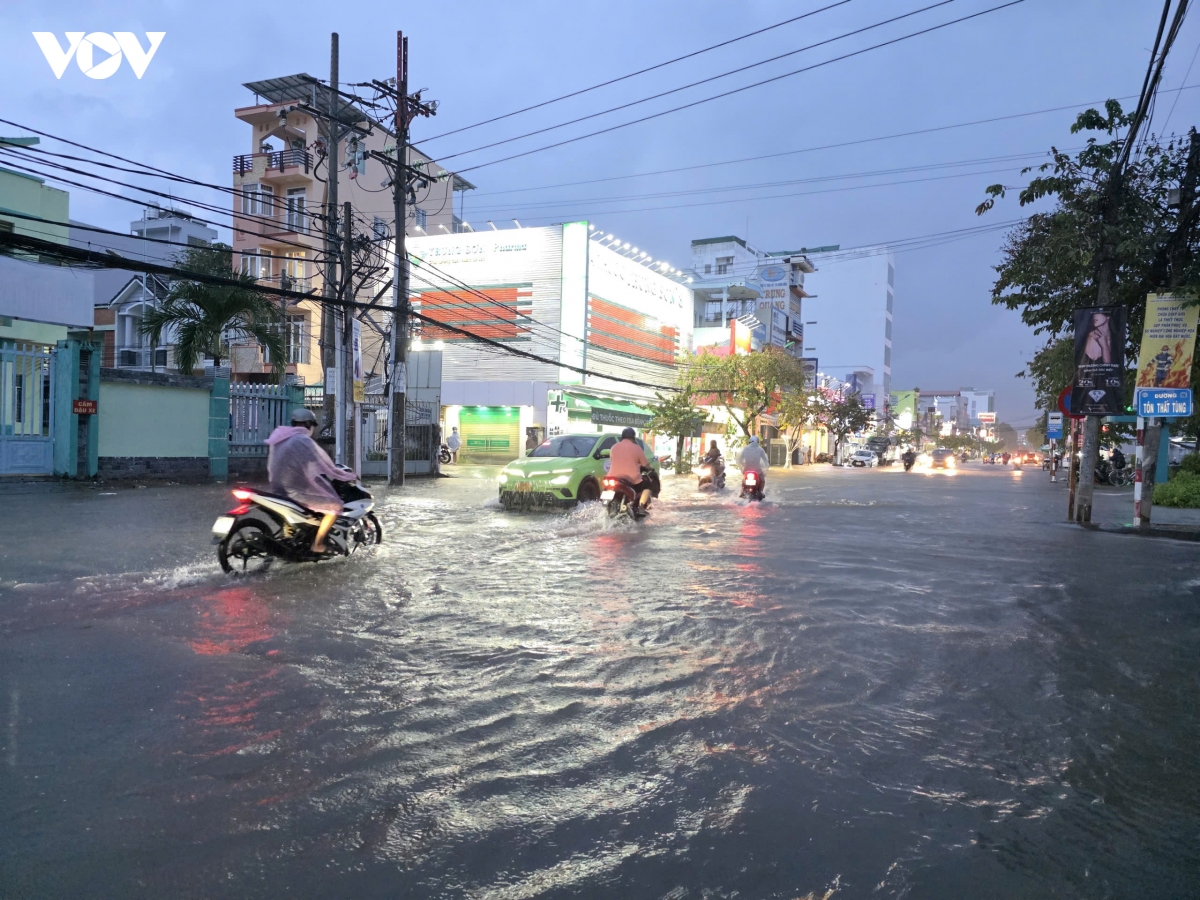 trieu cuong o can tho dang cao vuot ky luc hinh anh 5