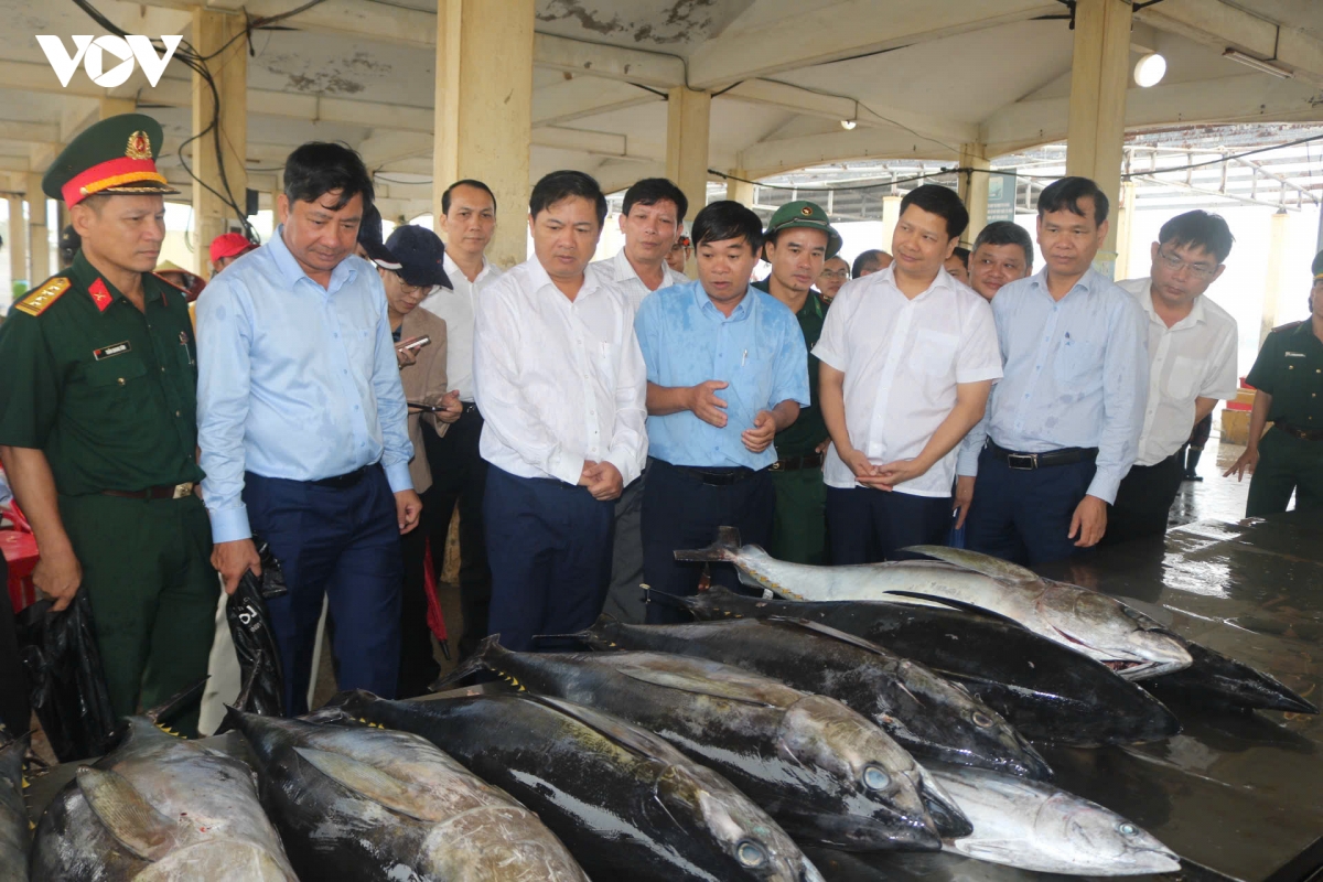 Dak lak tong kiem soat doi tau ca, khoa chat nguy co vi pham iuu hinh anh 1