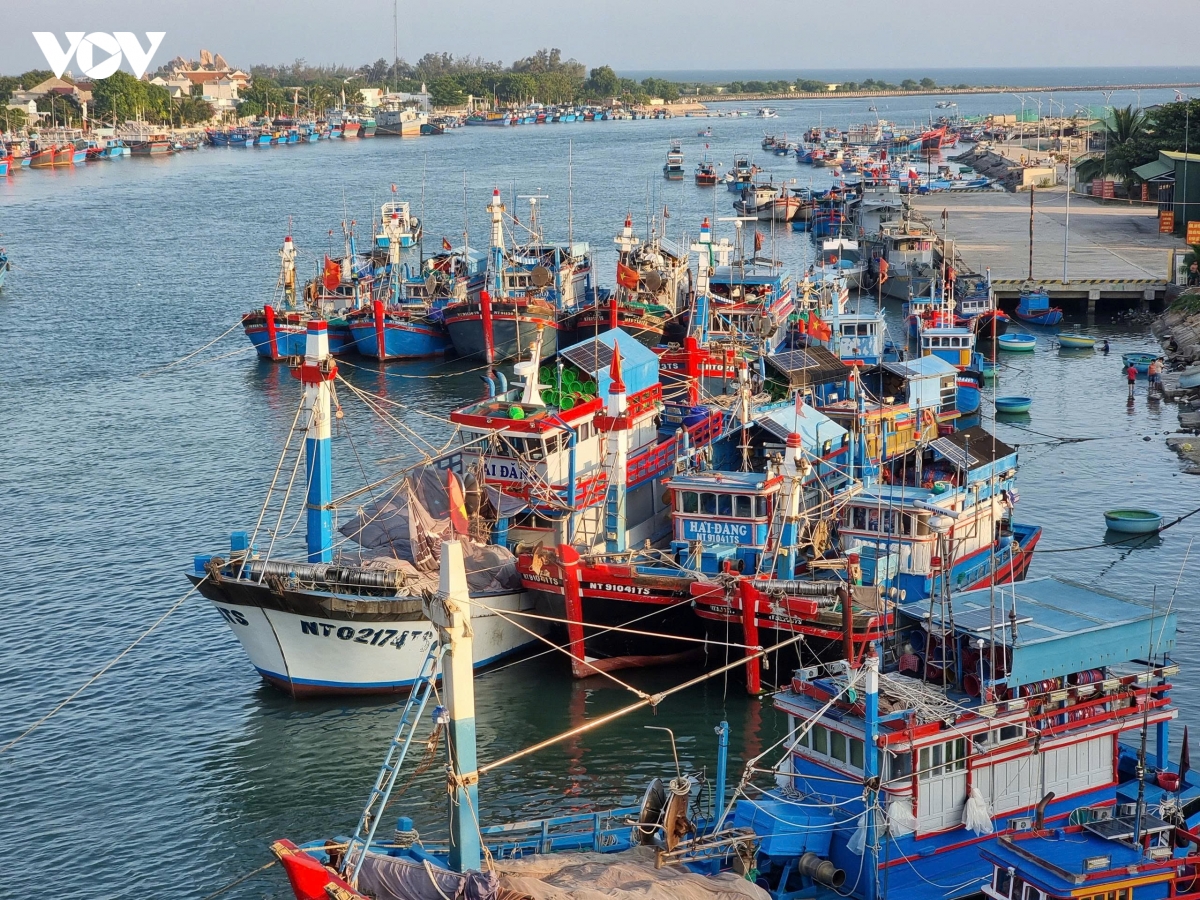 ra khoi dung luat, cap ben du so, khanh hoa quyet liet go the vang ec hinh anh 1