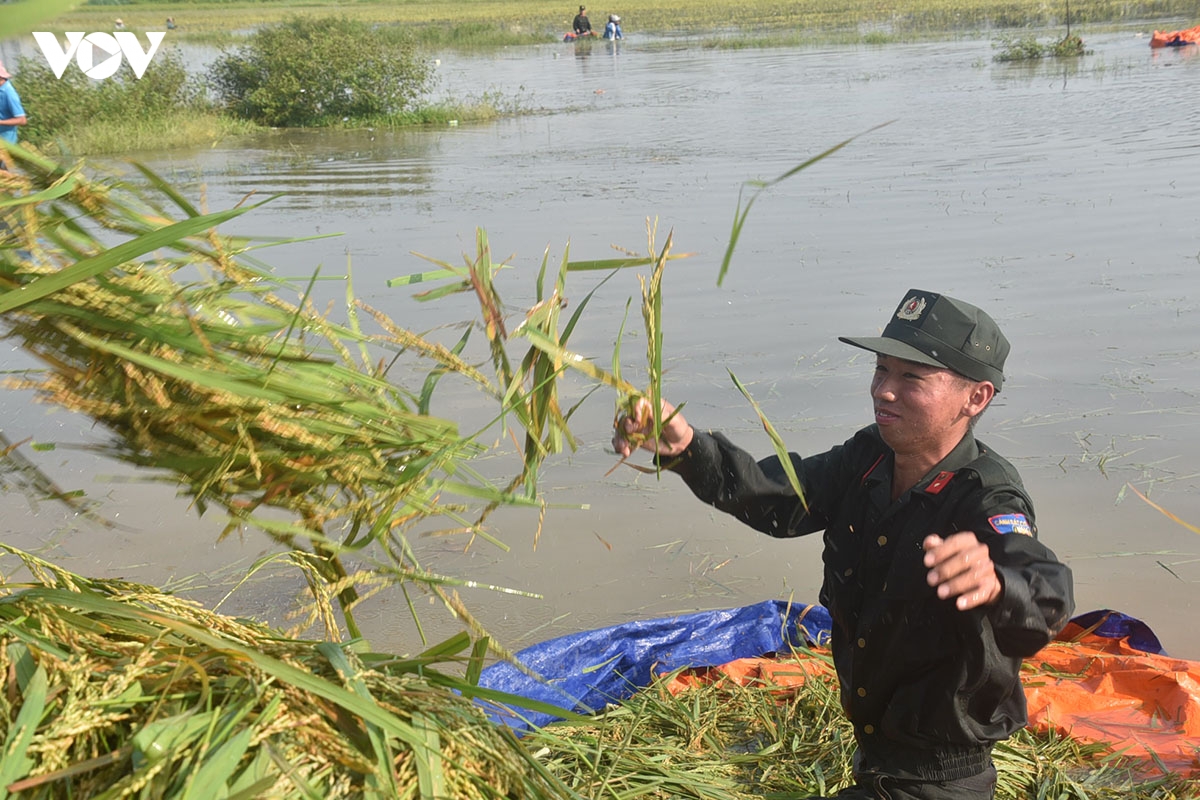 cong an ngam minh trong nuoc lu, gat lua giup dan ngoai thanh ha noi hinh anh 6