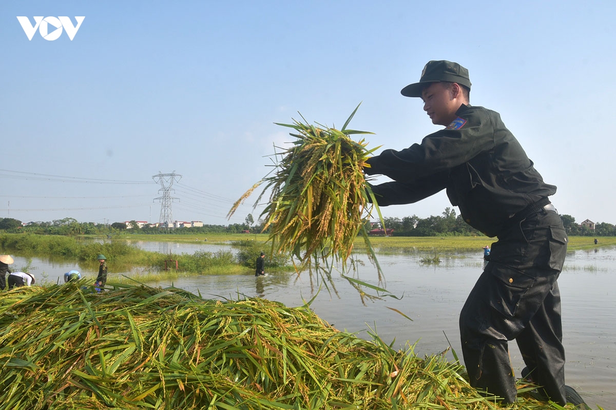 cong an ngam minh trong nuoc lu, gat lua giup dan ngoai thanh ha noi hinh anh 7