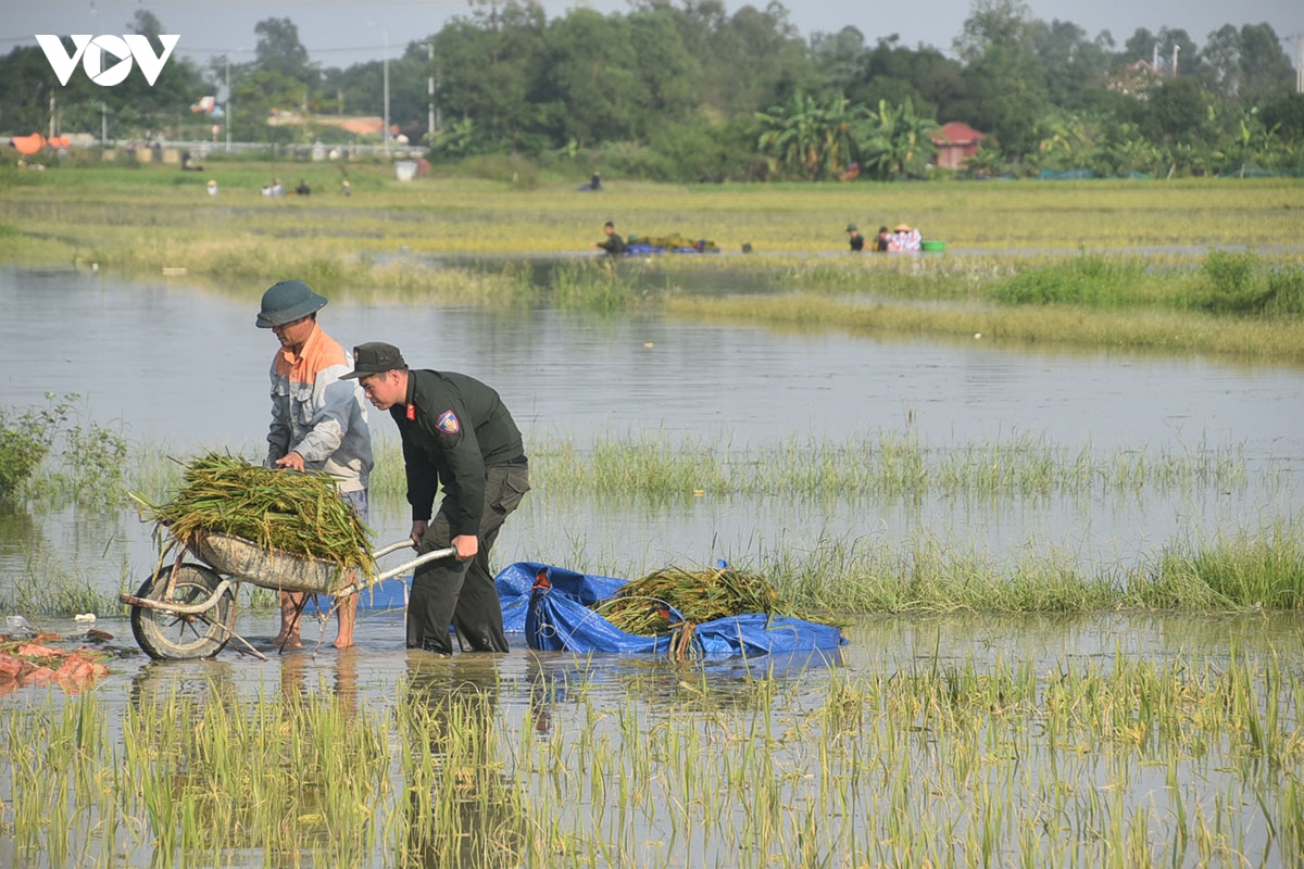 cong an ngam minh trong nuoc lu, gat lua giup dan ngoai thanh ha noi hinh anh 10