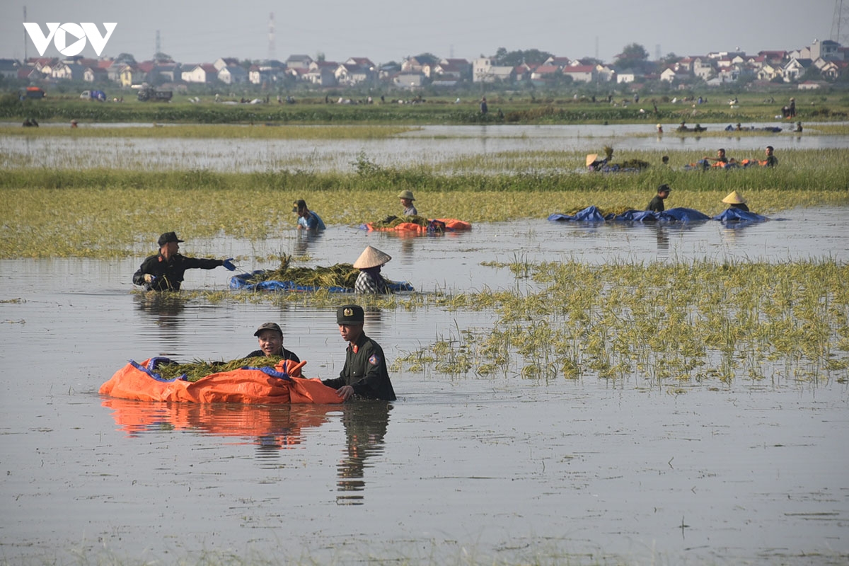 cong an ngam minh trong nuoc lu, gat lua giup dan ngoai thanh ha noi hinh anh 1