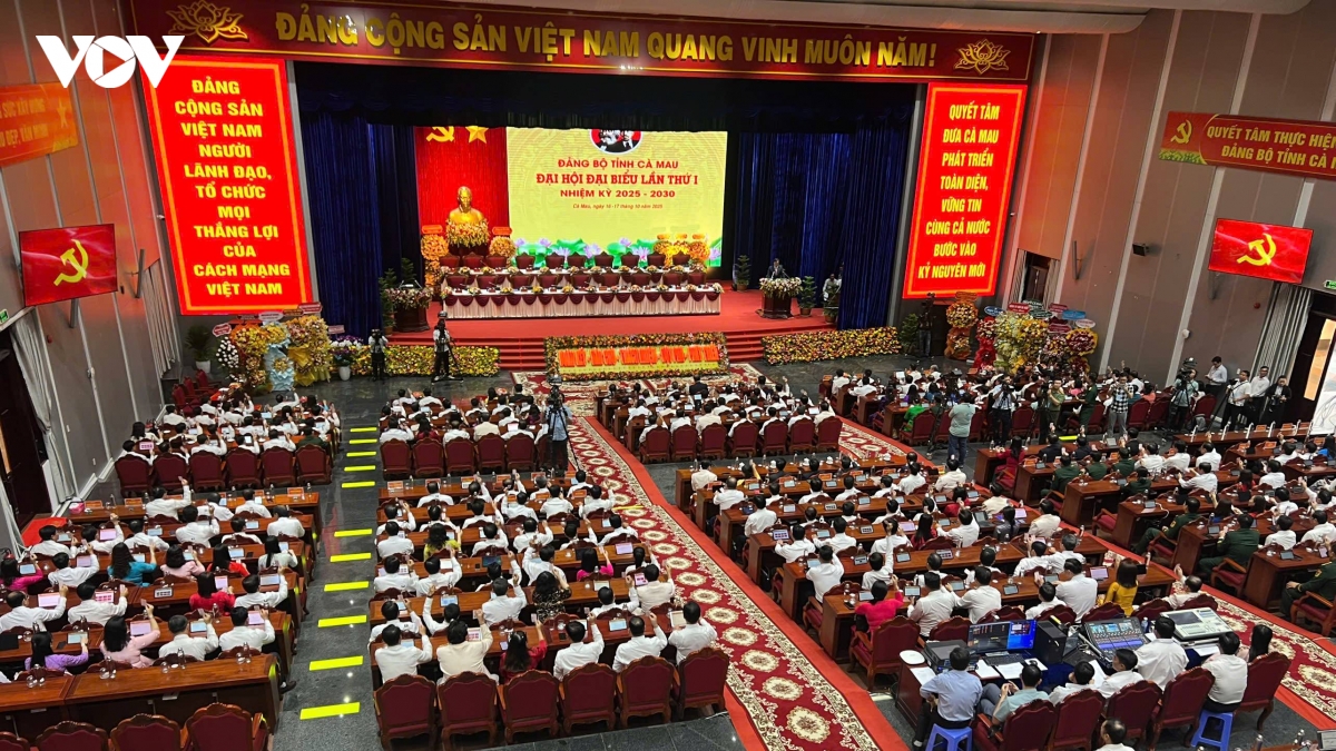 ca mau to chuc Dai hoi Dang bo so hoa, khong dung van ban giay hinh anh 3