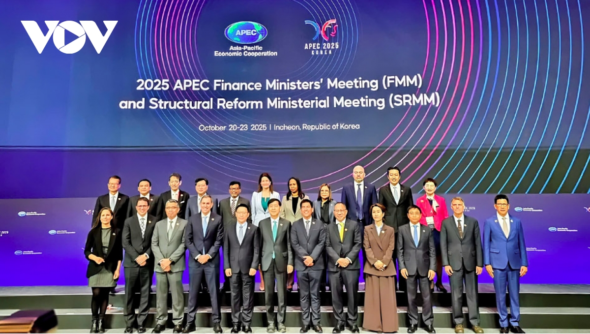 vietnam pledges to support apec s long-term stability and prosperity picture 2 vietnam pledges to support apec s long-term stability and prosperity picture 2