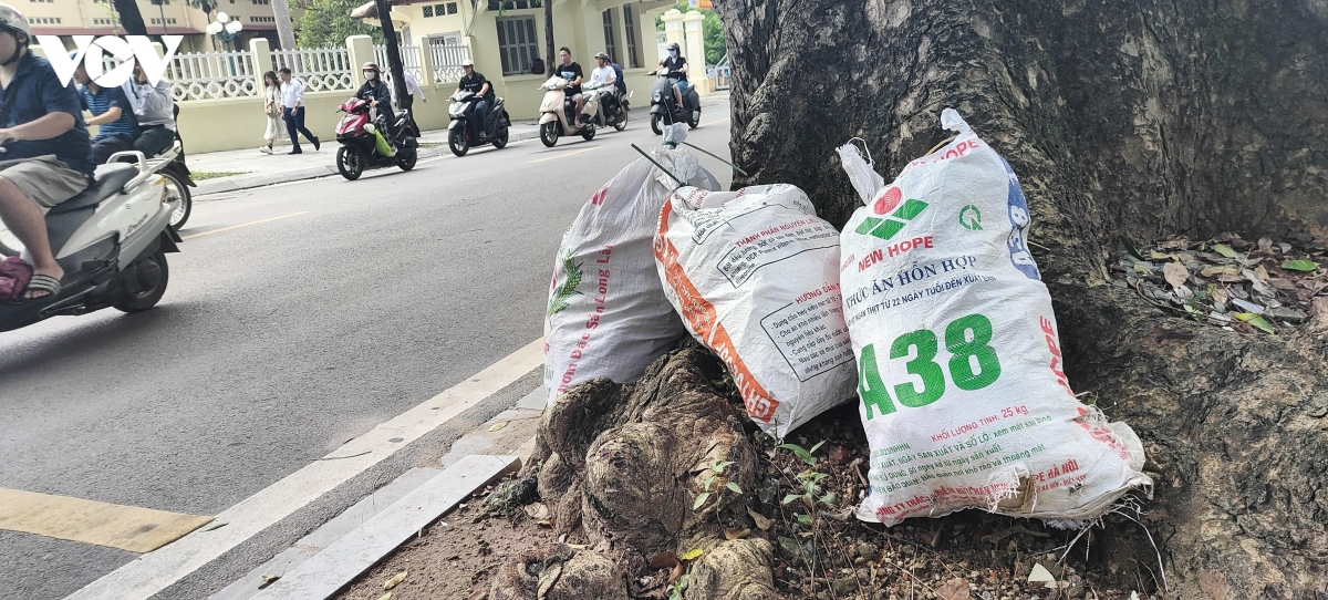nhuc nhoi nan do trom rac, phe thai xay dung tren duong pho ha noi hinh anh 9