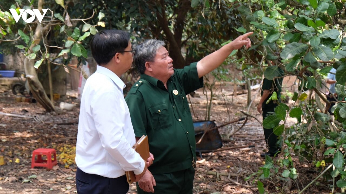 Dong nai but pha nong thon moi huong den muc tieu hien dai, hanh phuc hinh anh 4