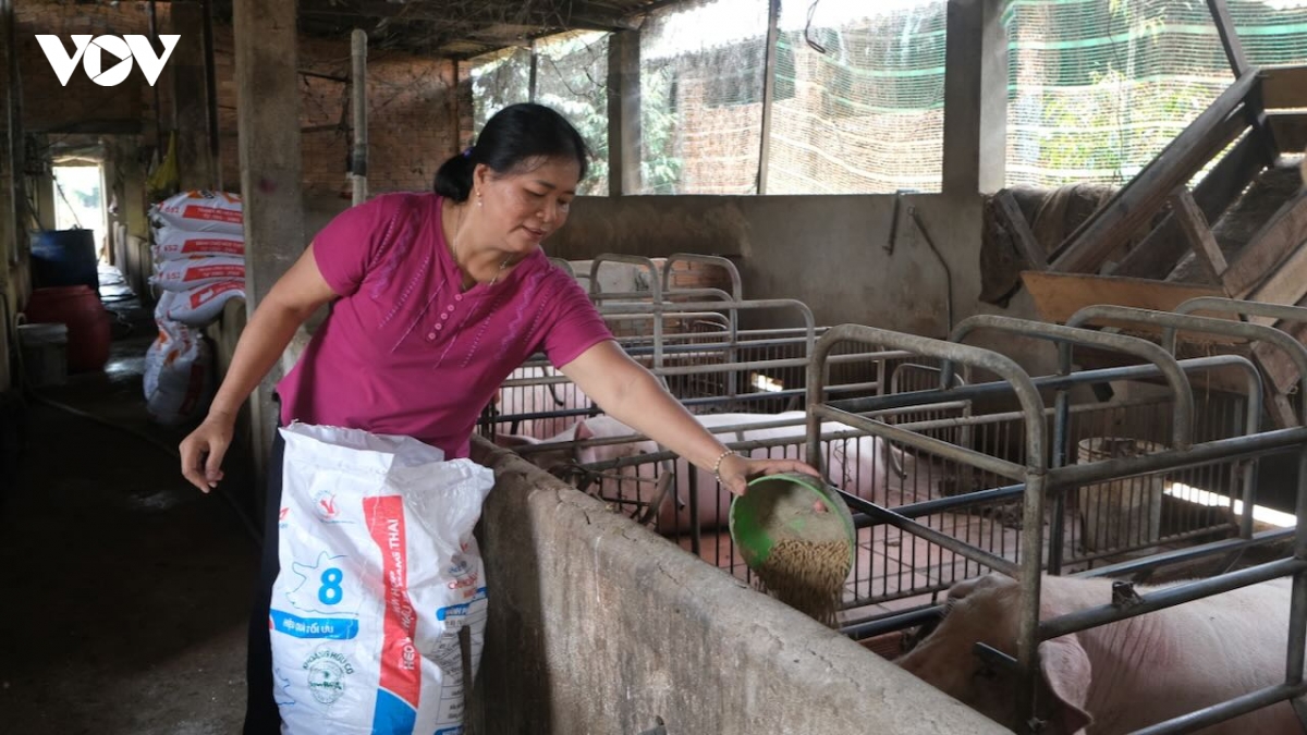 Dong nai but pha nong thon moi huong den muc tieu hien dai, hanh phuc hinh anh 5