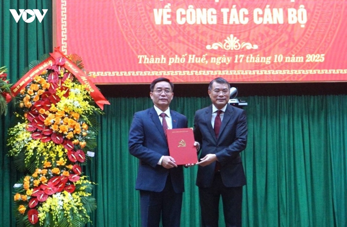 Ong nguyen Dinh trung giu chuc bi thu thanh uy hue hinh anh 1