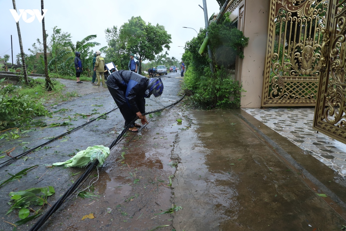 ninh binh khan truong khac phuc hau qua giong loc do bao so 10 hinh anh 3