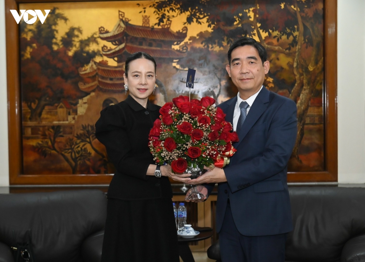 Dai su pham viet hung tiep chu tich lien doan bong da thai lan hinh anh 4
