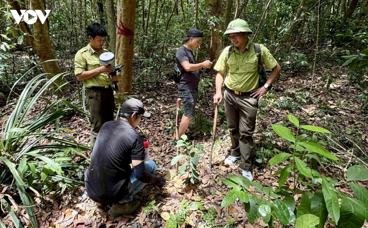 khong con kiem lam, he sinh thai rung- bien o con Dao co nguy co bi xam hai hinh anh 1