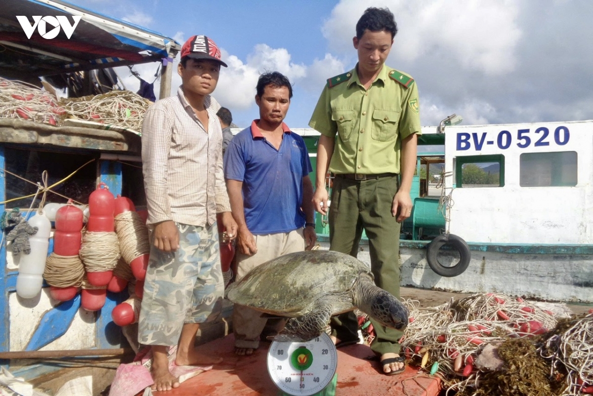 khong con kiem lam, he sinh thai rung- bien o con Dao co nguy co bi xam hai hinh anh 3
