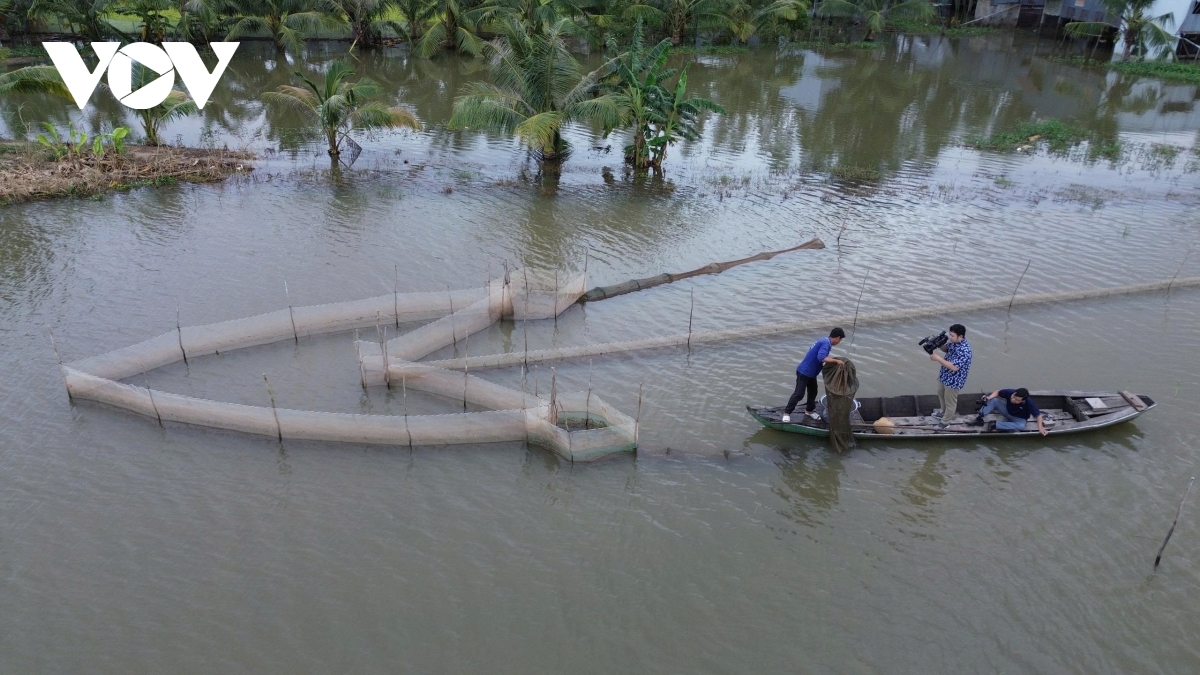 Đồng Tháp cảnh báo ngập lụt diện rộng vào đợt triều cường đầu tháng 9 âm lịch
