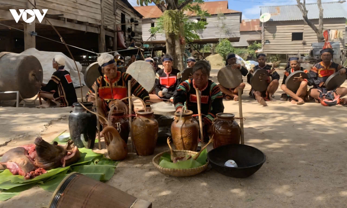 le mung lua moi cua nguoi jarai, net dep ve long biet on va tinh than doan ket hinh anh 1